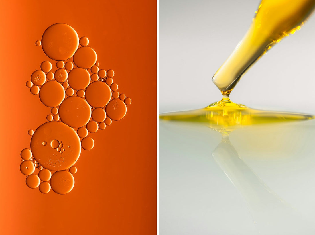 Origins: Our Organic Jojoba from Panama