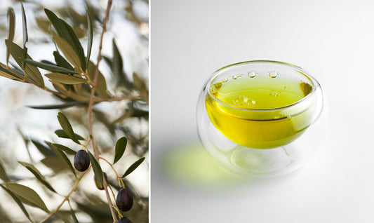 Origins: Our Squalene from Spain & France