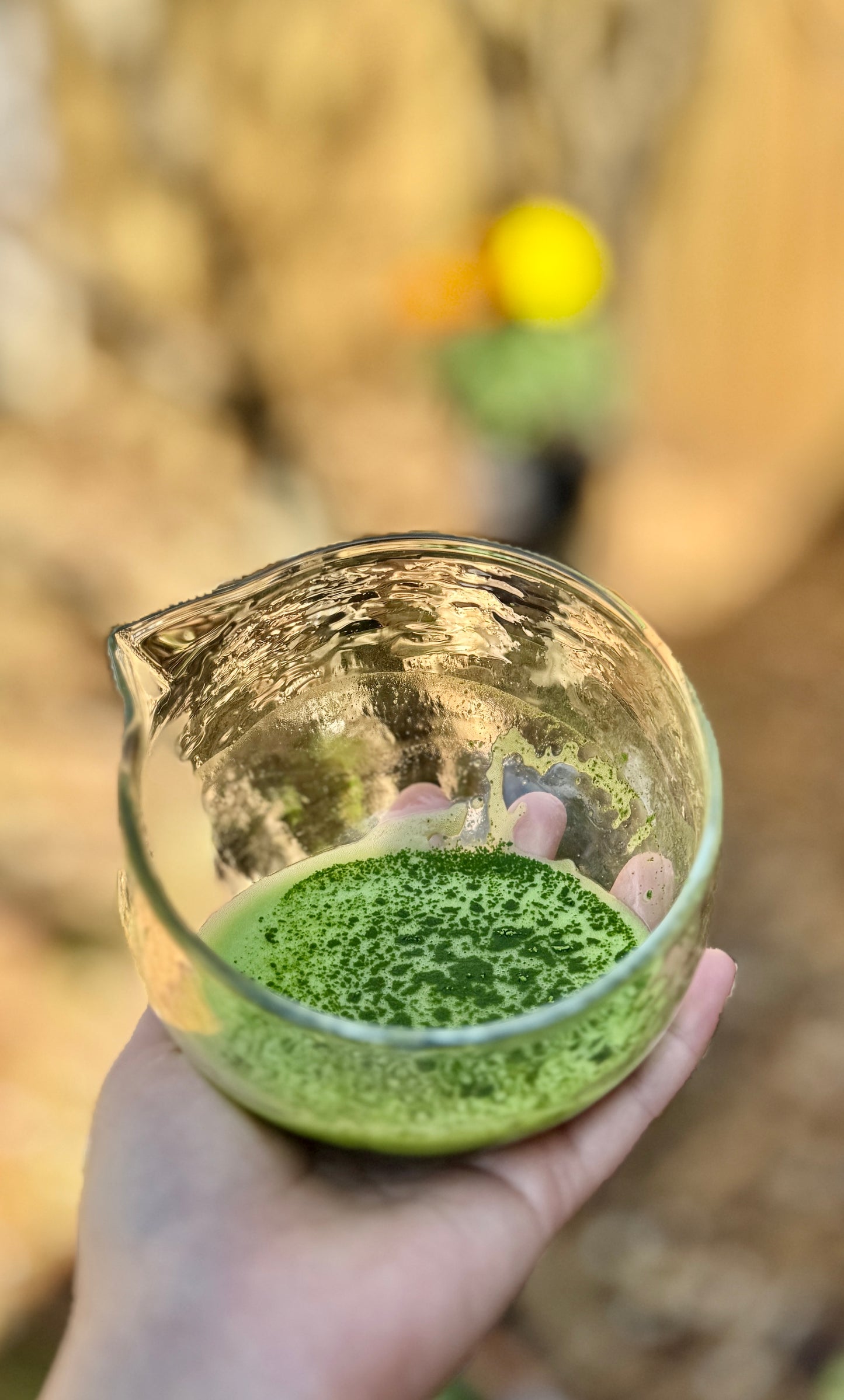 Japanese Certified Organic, Ceremonial Upper Grade Matcha, 30g, Origin: Kagoshima City